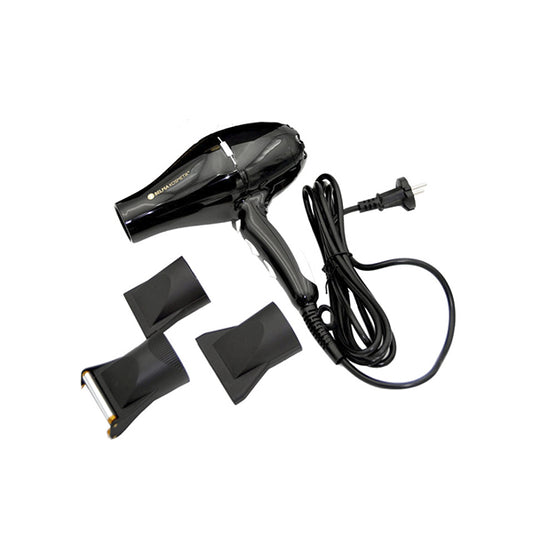 Professional 2400W Hair Dryer